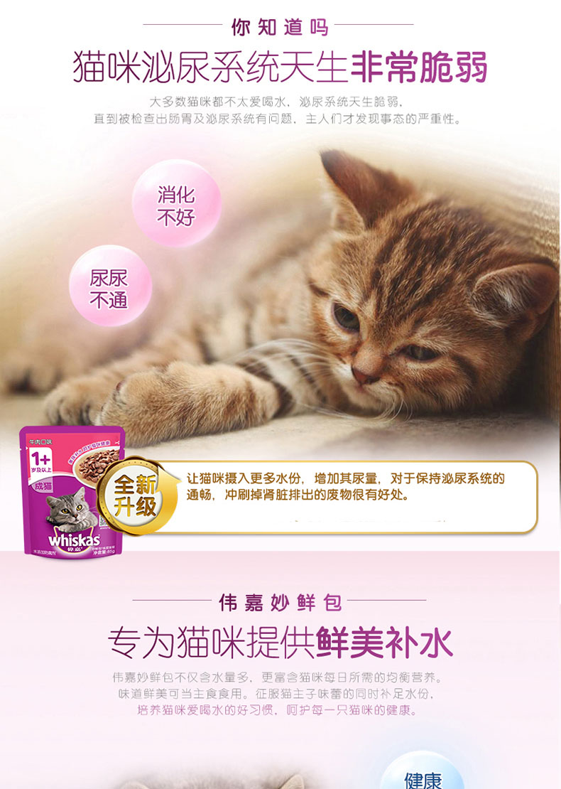 Mèo Wei Jia Cheng gói tươi tuyệt vời mèo thức ăn ướt mèo thức ăn mèo đóng hộp mèo Weijia tuyệt vời gói tươi vào mèo ăn nhẹ 24 gói - Đồ ăn nhẹ cho mèo hạt anf cho mèo