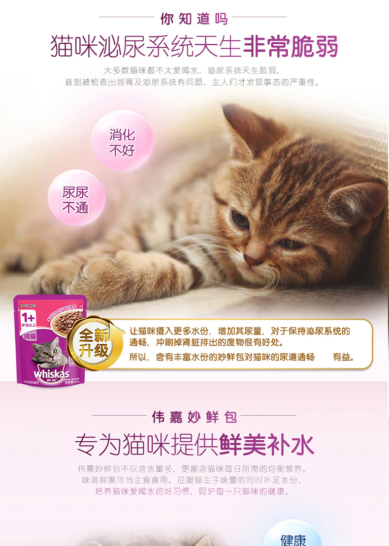 Wei Jia Miao gói tươi vào mèo ướt mèo thức ăn Wei Jia Miao gói tươi mèo mèo gói mèo tươi đóng hộp mèo 12 gói - Đồ ăn nhẹ cho mèo hạt royal canin kitten