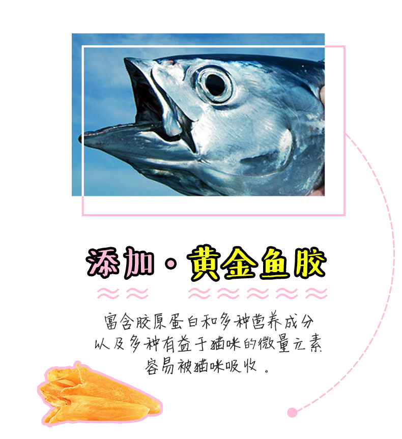 Đường mèo, mèo, mèo ăn nhẹ, mèo, mèo, ăn nhẹ, dinh dưỡng, kem, mèo, mèo cung cấp, kẹo mút - Đồ ăn nhẹ cho mèo thức ăn cho mèo me-o có tốt không