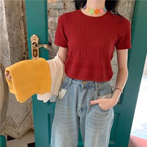 Summer dress new Korean student short Net red solid color coat foreign sweater Ice Silk short sleeve T-shirt female ins tide