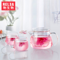 Biological heat-resistant glass teapot brewing tea pot Filter tea set size household flower tea cup glass pot set