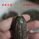 Bodhi ngàn mắt Bodhi mắt Bodhi Xử lý vòng đeo tay Vòng tay cầm tay hạt Rosary Phụ kiện tự làm - Vòng đeo tay Clasp