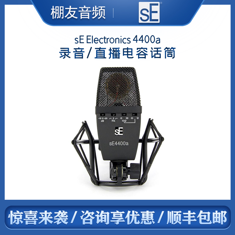 sE Electronics 4400a Large Diaphragm Multi-Directional Professional Recording Condenser Microphone for Chorus Musical Instruments