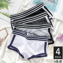 Womens pure cotton boxer underwear womens anti-skid cotton large size boxer pants neutral handsome T sports dance leggings