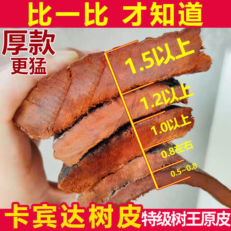 Angola Cabinda Old bark African Tete-level wild male health nourishing Nourishing Brew to Lock Yang Terthick