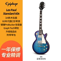 [Предварительная продажа] Стандартный градиентный цвет черники 60-х годов