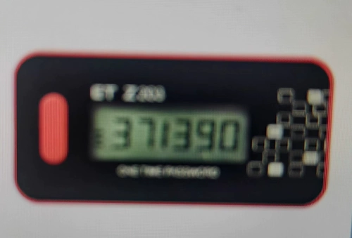 Целостность Цзяньши et Z203 Динамический токен (время)