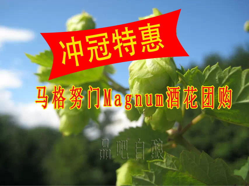 Buy homebrewed hops (Magnum granules 500 g) home-brewed tool ingredients