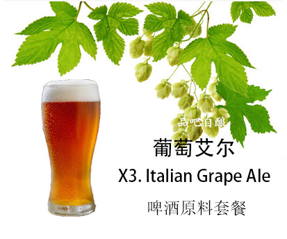 Grape Ale Raw Material Package 19LX3 Italian Grape 2021 Beautiful Home Brewery Champion Recipe