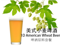 American Wheat Beer American Wheat Beer Lager Raw package 20L 2021 Meijia brewery