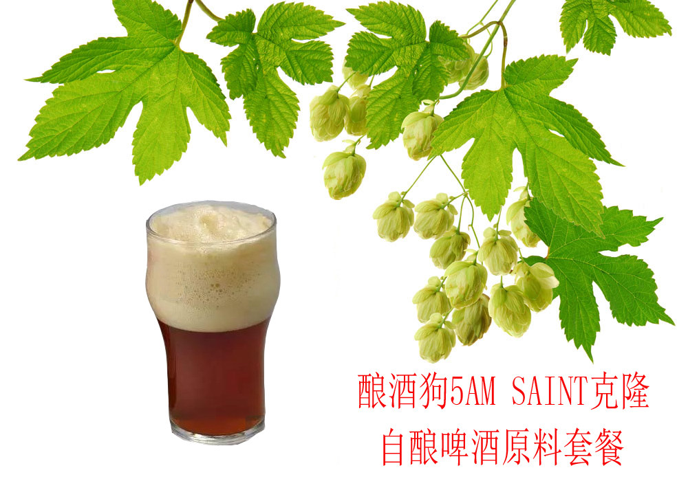 American Red ale (5AM SAINT) brewing dog 5 points Saints American red Al package bag