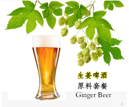 Ginger beer raw material 20 litres of self-brewed beer raw material tools
