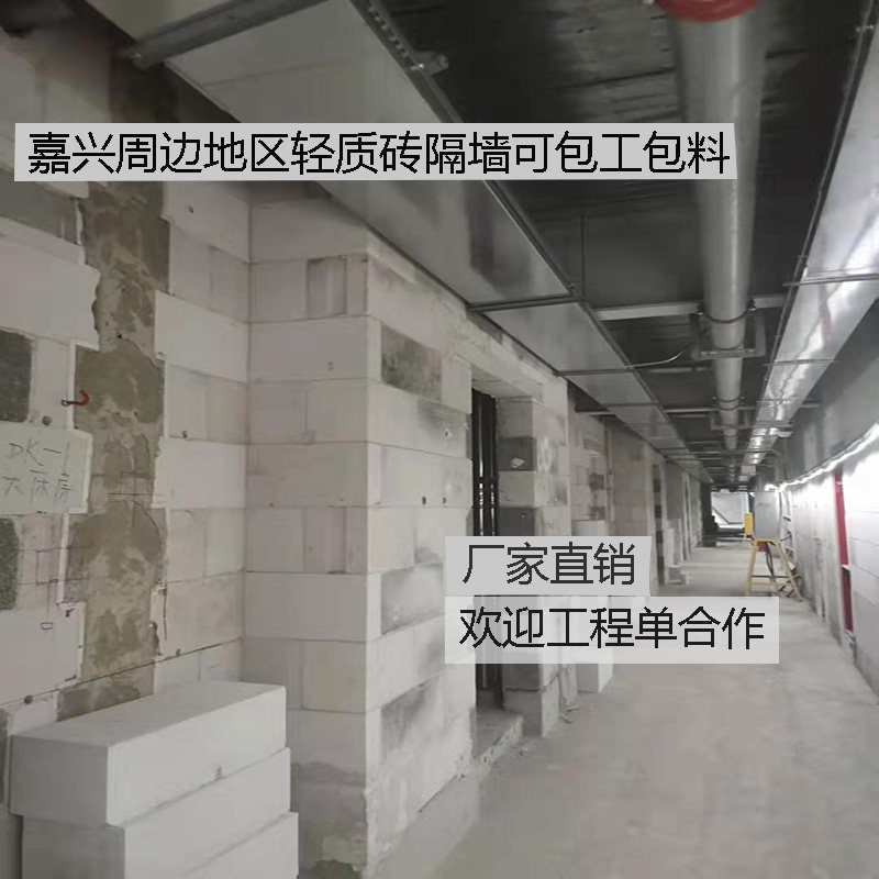 Hangzhou Shanghai Suzhou Air Brick Partition Wall Concrete Block Light Brick Foam Brick Hollow Brick Foam Brick