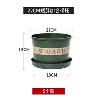 Пять жирных 22 см (с подносом) 5