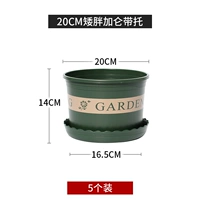 Пять жирных 20 см (с подносом) 5