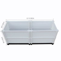 Белый двойной союз 2