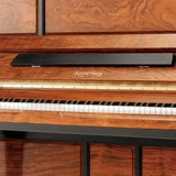 Жемчужная река фортепиано Цезарбургский профессионал для фортепиано, играющий на фортепиано, пианированное пианиновое роническое дерево KA132HM1