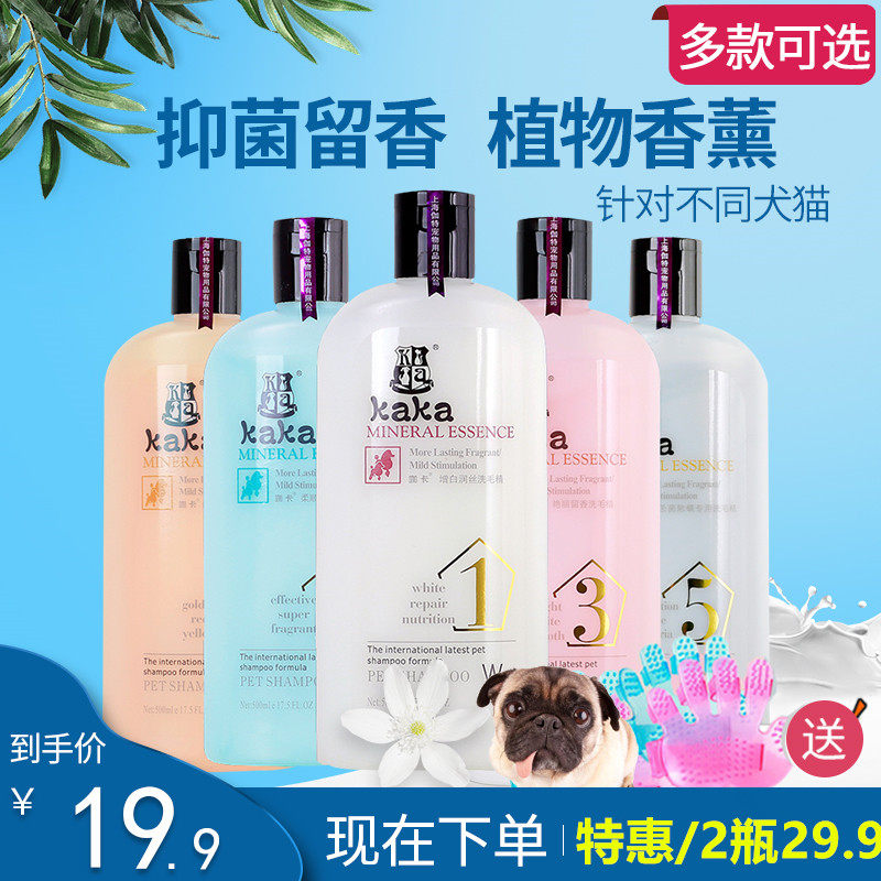 Teddy pooch body wash with small dog baths such as Shampoo Polo pooch Pet Kitty Wave Pet Shampoo