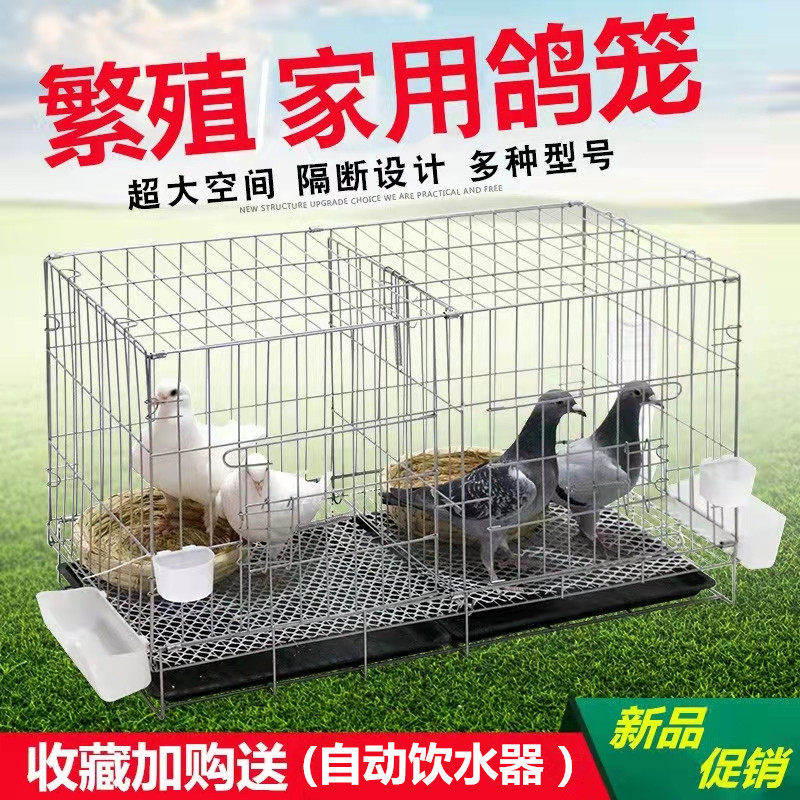 Pigeon cage breeding cage pigeon pairing cage large pigeon cage household with partition breeding pigeon cage clearance