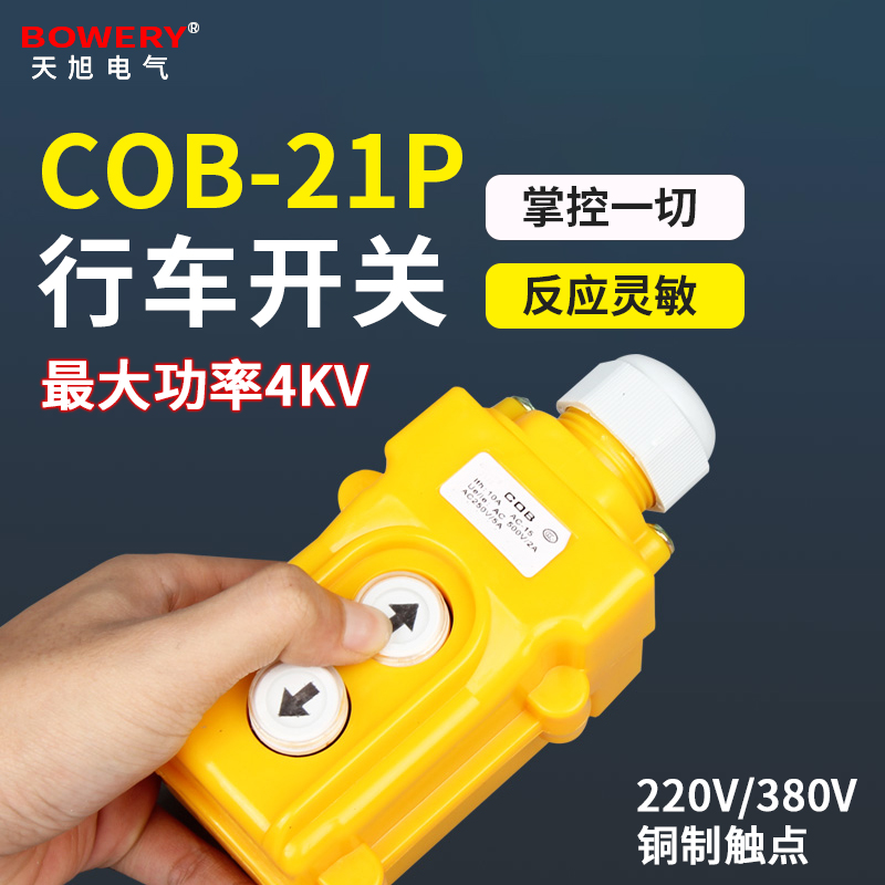COB-21P crane straight control button switch 220 hanger wagon travelling up and down button electric hoist wagon 380V-Taobao
