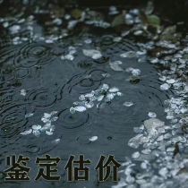 Burmese natural jade appraisal and appraisal jade bracelet pendant bead chain online professional identification of authenticity and price appraisal