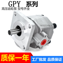 The hydraulic oil pump high-pressure gear pump assembly small pump head GPY-3R 4R 5 8R 8R 9R 10R 11 5R