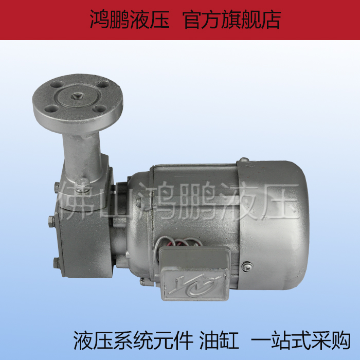 Rotor Pump ZCB-1 5 ZCB-1 2 Rotor Type Oil Pump Motor Group Cycloidal Needle Wheel Reducer Oil Pump Special