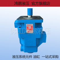 New hydraulic pump double vane pump YB1-4 6 10 12 16 25 32 40 50 63 80 100