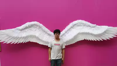 Large model angel wings hanging wall shop yoga shop Coffee Net red feather photo studio wedding