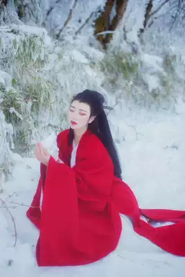 Hanfu spring and summer female student girl ancient costume chivalrous fairy Chinese style retro style Wei Jin style wide sleeve shirt stage costume