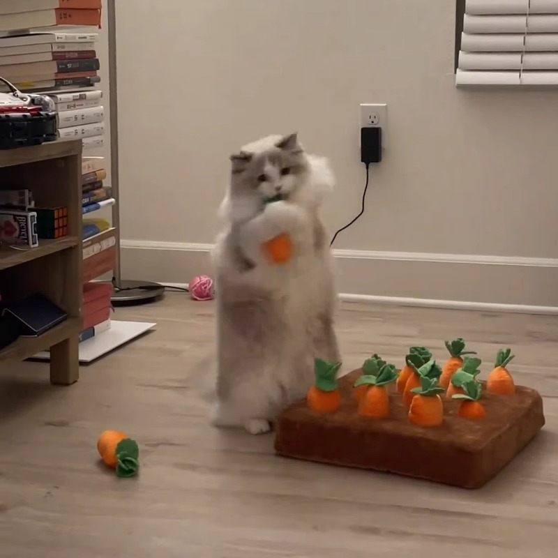 Fun Turnip Cat Fur Suede Toy Self-Hi-Smother Cat cat nibble with bite-resistant grinders-Taobao