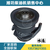 Weichai power WD615 Steyr diesel engine WP10 engine original parts 61560060050 Water pump