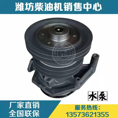 Weichai Power WD615 Steyr Diesel Engine WP10 Engine Original Parts 61560060050 Water Pump
