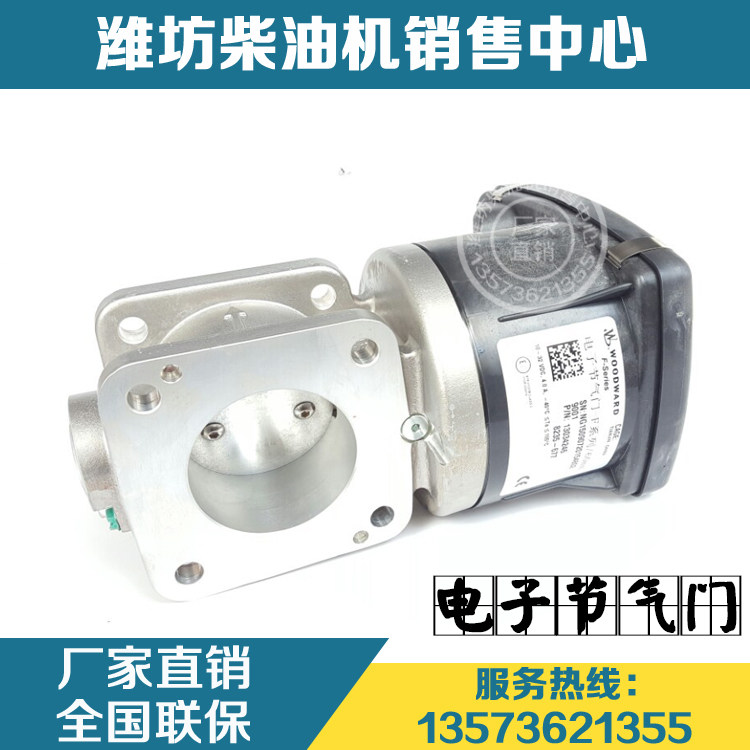 Wei Chai Power WP6 WP10 Gas Machine Engine Woodward 13034246 Electronic throttle Original factory piece-Taobao