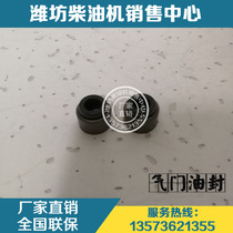  Weichai power 226B Deutz WP4 engine WP6 diesel engine 13023391 Valve oil seal original parts