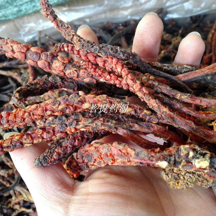 顶天柱图片植物,顶天柱图片,植物图片大全大图(第13页)_大山谷图库