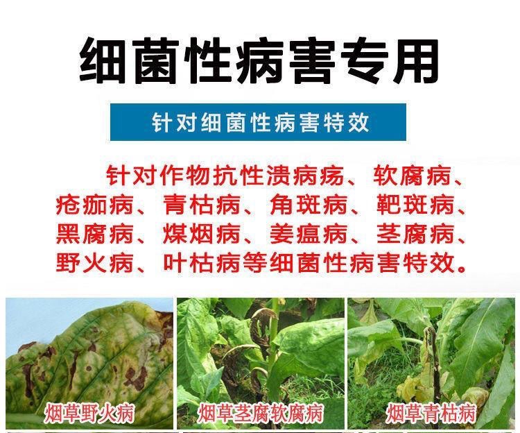 细黄链霉菌：土壤中的秘密武器守护果蔬健康