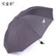 Deep Grey с двумя диаметром 110 см