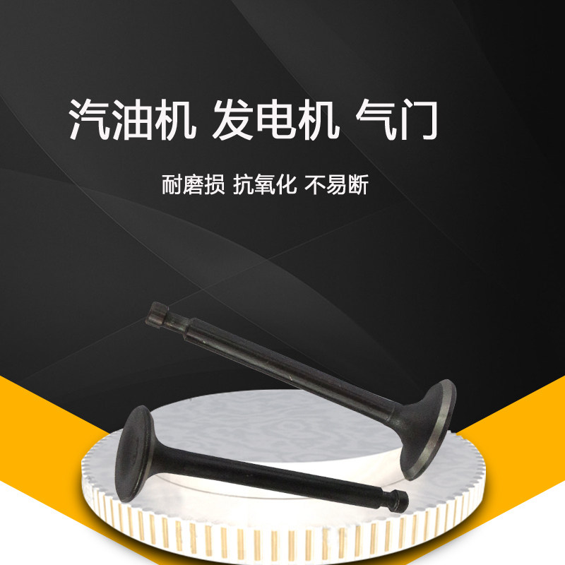 Gasoline generator accessories 152 154 168 170F 173 177 188 190F intake and exhaust valve