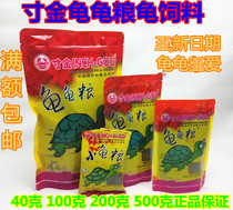 Inch golden tortoise turtle turtle turtle Brazilian tortoise tortoise feed tortoise turtle turtle turtle turtle three-color