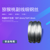 Gold seller Hot-dip galvanized frame special fence farm Kiwi Passion fruit national standard steel wire 1 6mm18mm