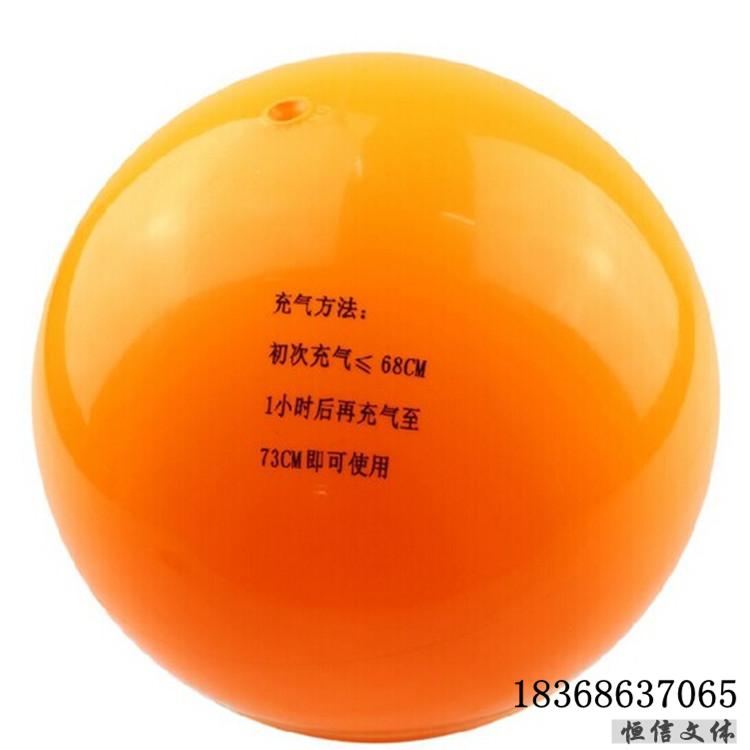 Ballon de volley - Ref 2012685 Image 17