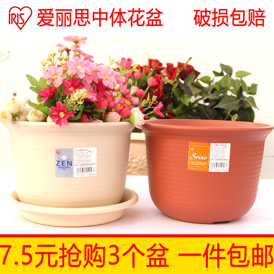 Alice Basin Basin Thick resin Flower Pot Planted Green Plant Polynuts