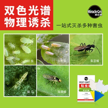 Melaleyen Yellow, синий двойной кожарные липкие липкие насекомые пластины с двойными соблазнительными насекомыми, насекомые, маленькие черные летающие кусочки фрукты Зеленые растения в помещении