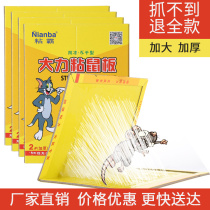  Super strong sticky mouse board to catch sticky mice glue-repellent medicine to kill rat-catching artifact 10 pieces of household litter end