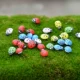 2 маленькие красные божьи коровки