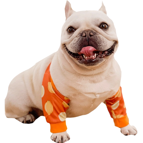 FA DOU DOLBOW CLOWN DOG DOG CONTER -KNEE GROTED GREE GREAT