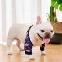 Тибетская синяя звезда пустое локоть