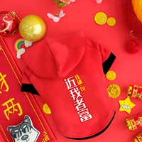 (Осенний и Зимний год) Большой красный и близкий к моей толстовке с капюшоном