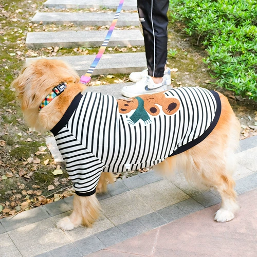 Свитер, демисезонный пуховик, зимний шнурок-держатель, толстовка, осенний сезон